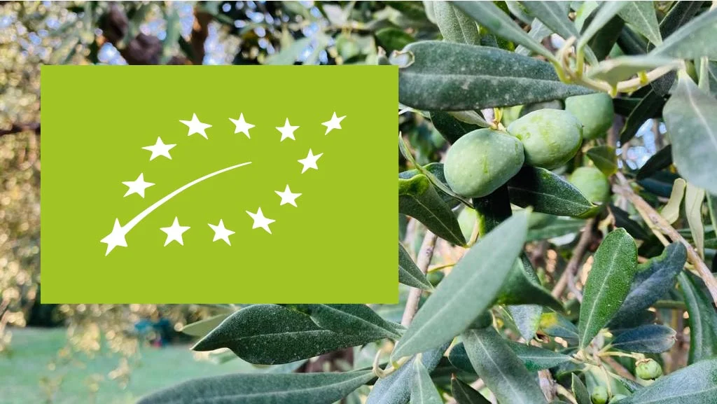 olio biologico cosa e-01