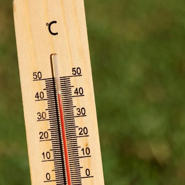 cambiamento climatico alta temperatura